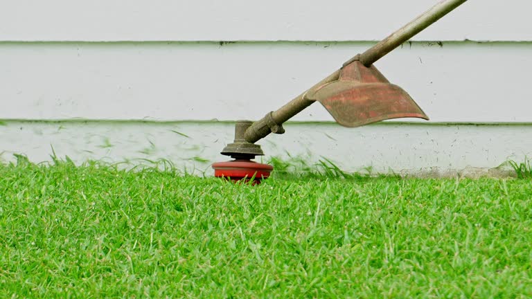 Best Tree Maintenance Programs  in Mccormick, SC